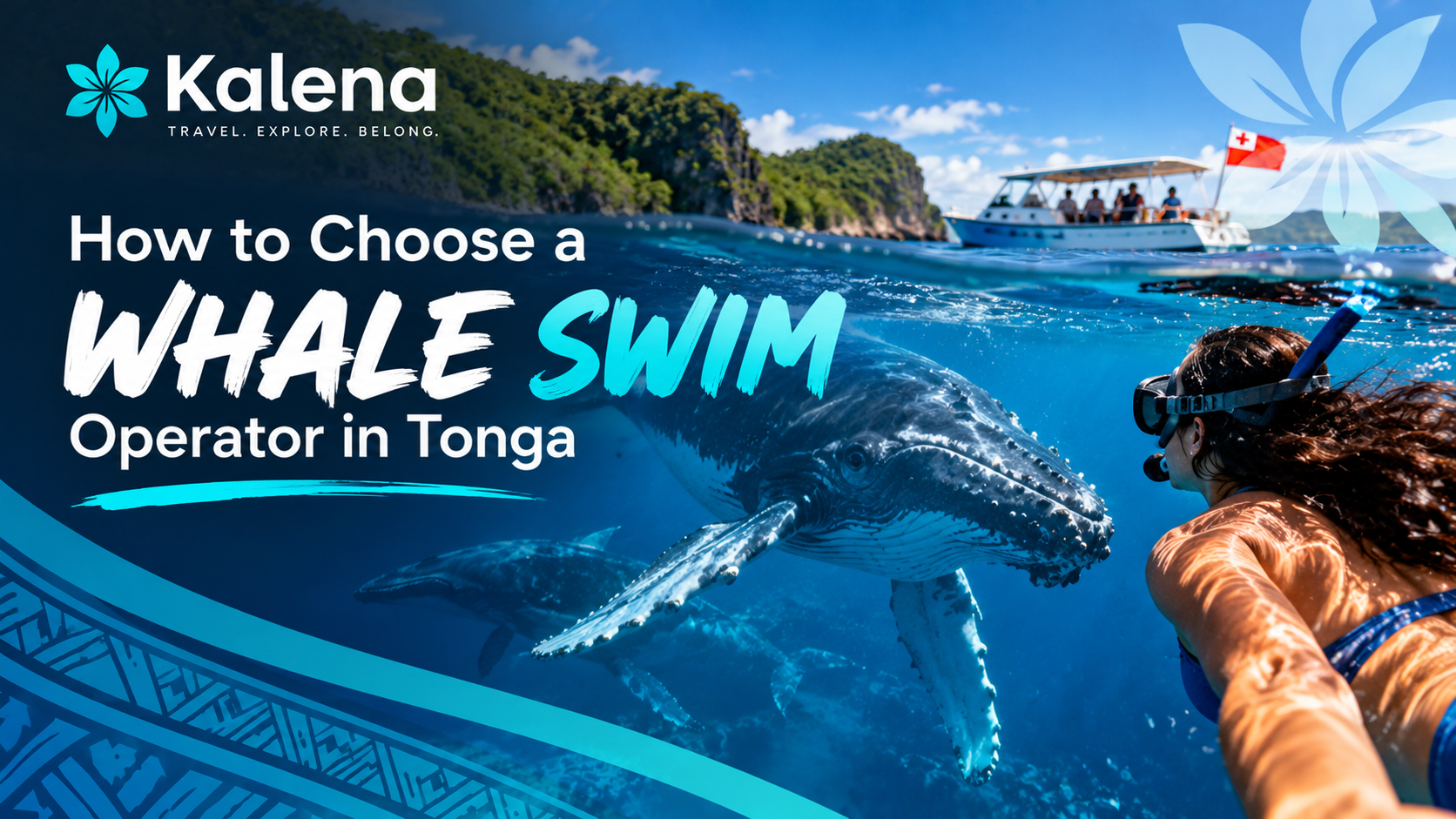 How to Choose a Whale Swim Operator in Tonga